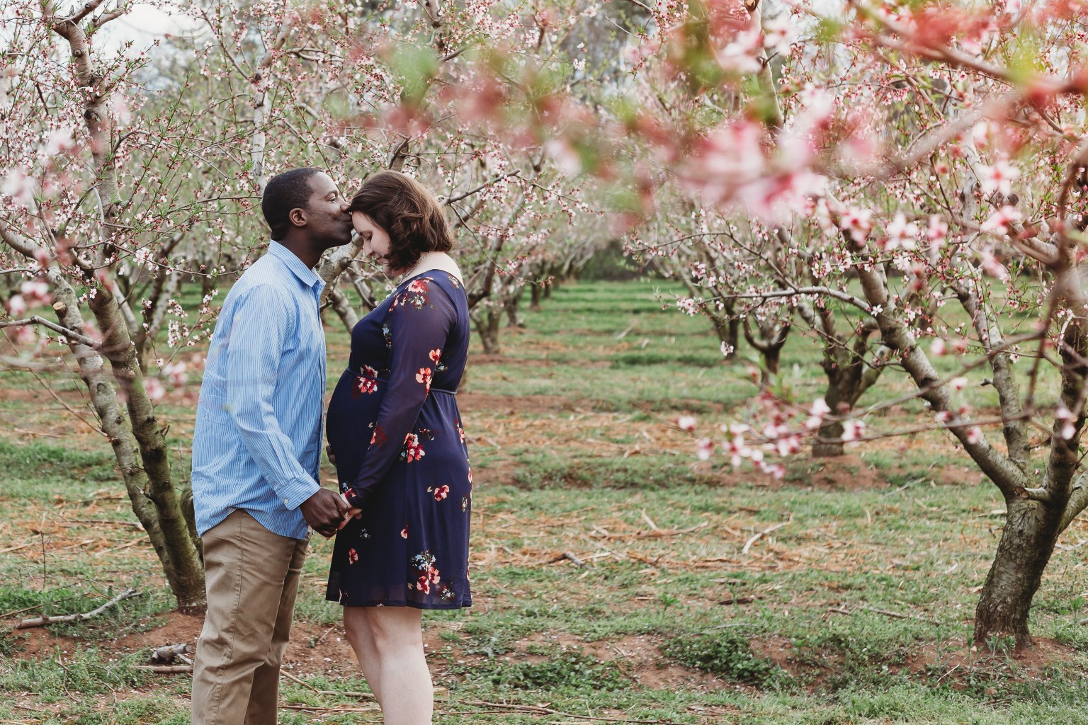maternity pictures of pregnant woman and husband in peach blossoms