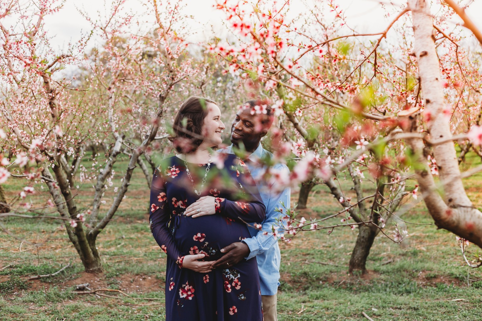 maternity pictures in peach blossom orchards