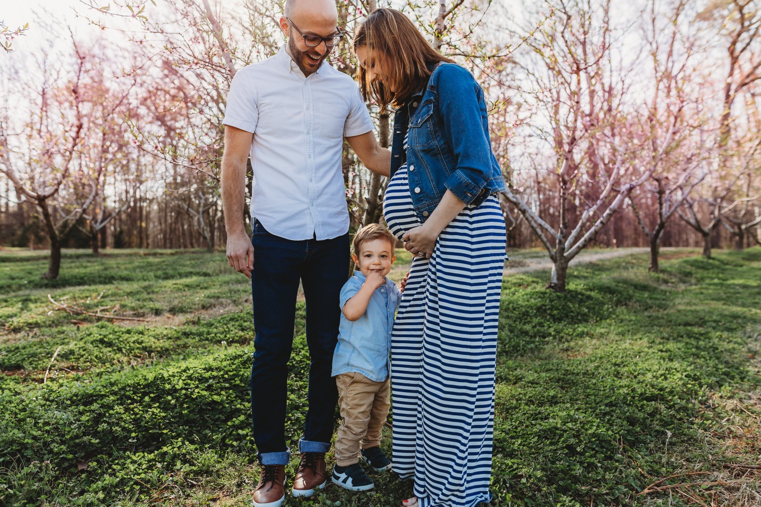 maternity family pictures in peach blossom orchard