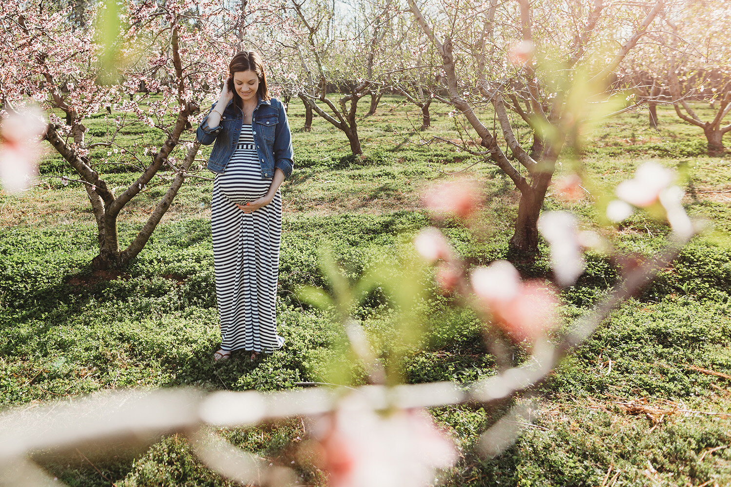 pregnancy photos in peach blossom field